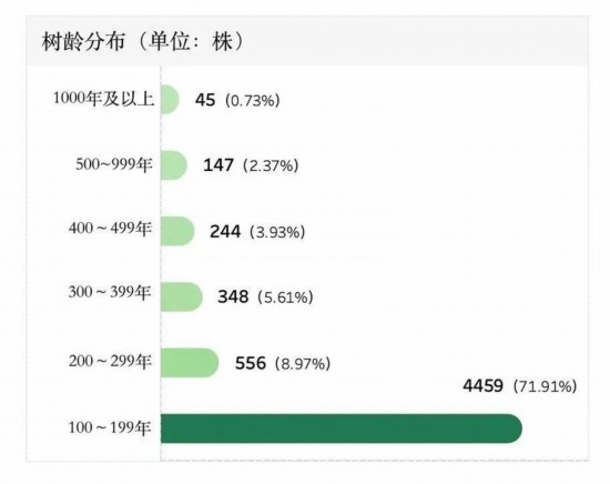 不朽情缘游戏网站登录江苏有城市古树名木6201株、后备资源3990株(图2)