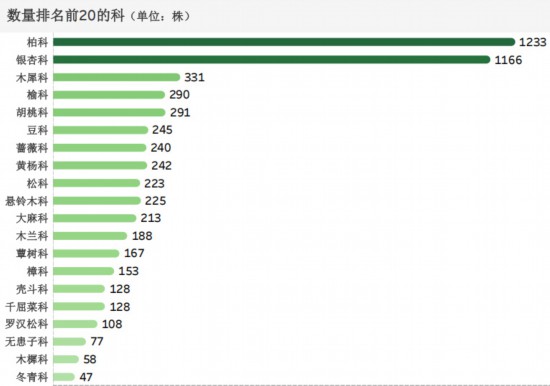 不朽情缘游戏网站登录江苏有城市古树名木6201株、后备资源3990株