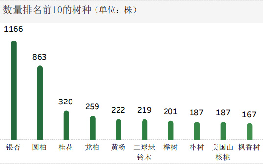 不朽情缘游戏网站登录江苏有城市古树名木6201株、后备资源3990株(图3)