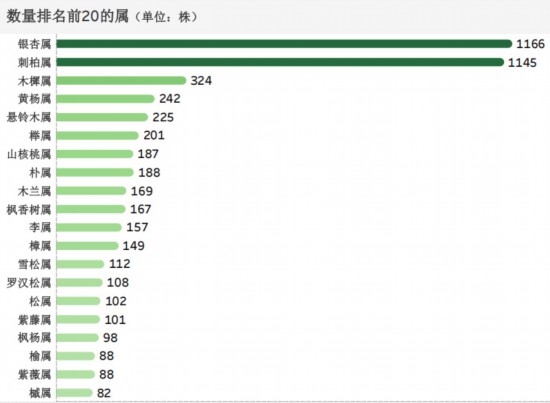 不朽情缘游戏网站登录江苏有城市古树名木6201株、后备资源3990株(图4)